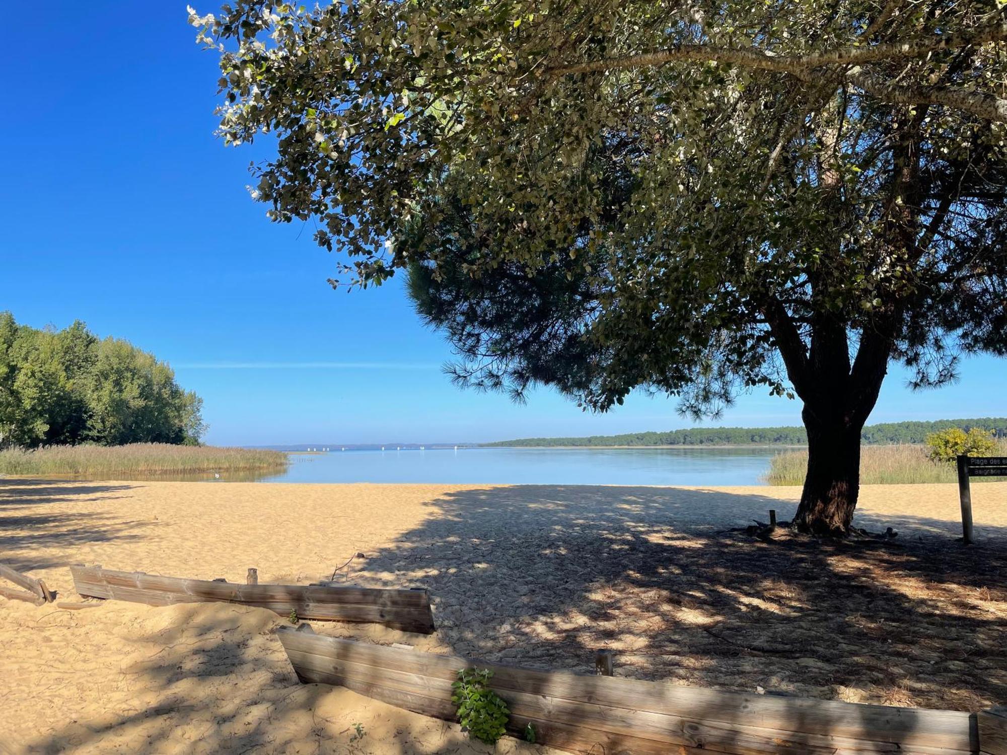 Appartement T2 Proche Lac Sanguinet Zewnętrze zdjęcie